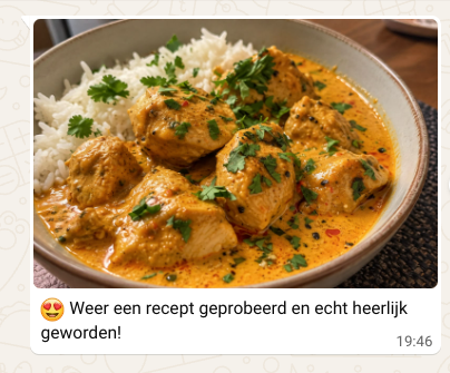 WhatsApp-review met romige kip en rijst